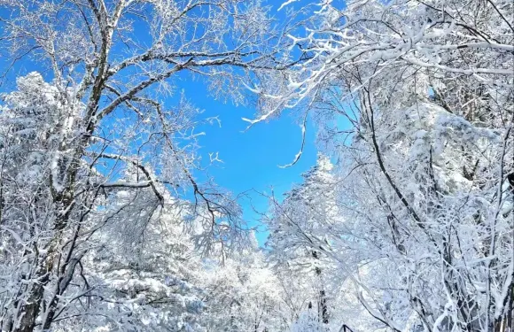 老李克湖或雪嶺一日遊【2-6人小團】
