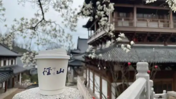 【獨立包團】徑山寺+私享導覽講解服務(不包括入場門票)