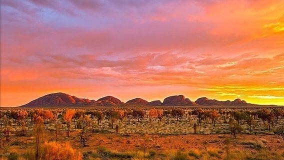 北領地烏魯魯卡塔丘塔國家公園+觀日出+風之谷徒步【飯店接駁】