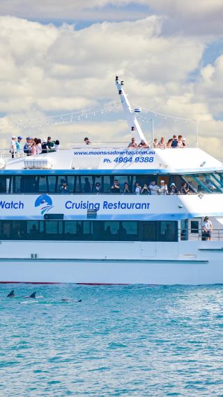 Sydney Port Stephens 1-day tour | Chinese and English | Dolphin watching, sandboarding and koala viewing