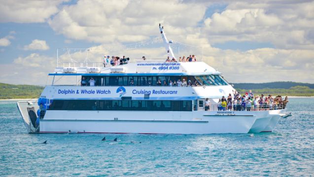 Sydney Port Stephens 1-day tour with Chinese-English guide: dolphin watching, sandboarding, and koala viewing with no extra fees