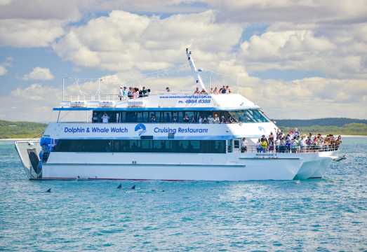 Sydney Port Stephens 1-day tour with Chinese-English guide: dolphin watching, sandboarding, and koala viewing AUD 199