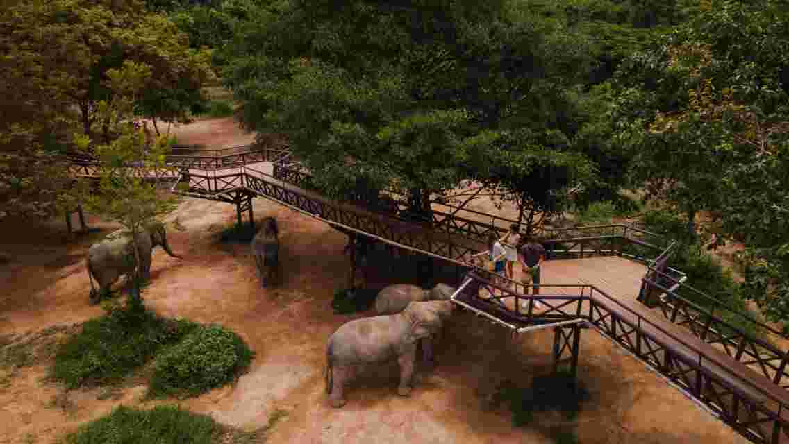 one-day tour to Elephant Kingdom in Koh Samui, Thailand