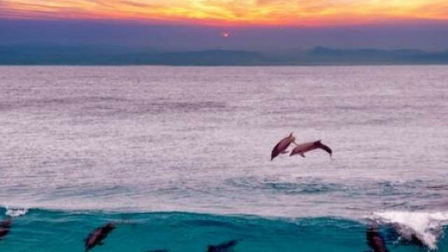 Marsa Alam: Overnight Stay at Sataya Dolphin House + Snorkeling