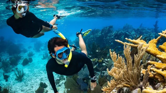 Tour 1 ngày đảo Menjangan Bali [Lặn biển ngắm san hô, lặn sâu, ngắm cá heo và bình minh]