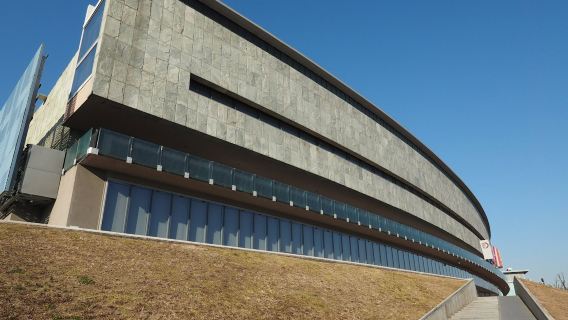 Turin : Musée national de l'automobile + Circuit en bus à arrêts multiples