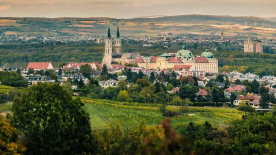 Klosterneuburg Abbey: Guided Wine Cellar Tour & Tasting