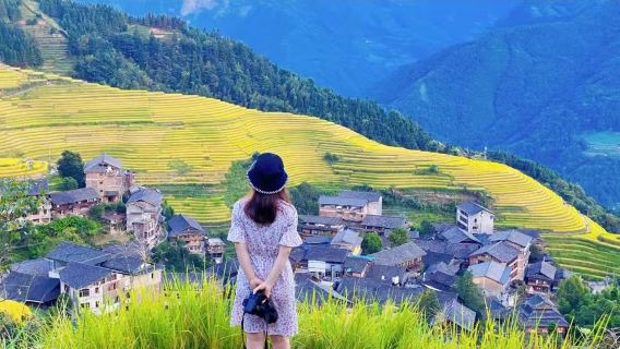 桂林龍脊梯田+平安壯寨梯田+金坑大寨梯田一日遊【雙寨純玩】