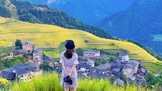 桂林龍脊梯田｜金坑大寨梯田＋黄洛瑶砦【平安寨梯田追加可】ワンデーツアー