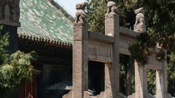 洛陽關林廟半日遊【精品遊】【深層次1.5H】【私人導覽】