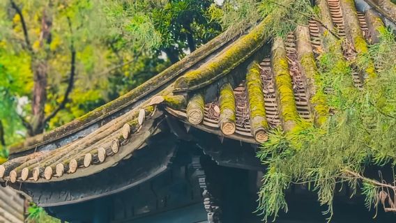 佛山特色體驗