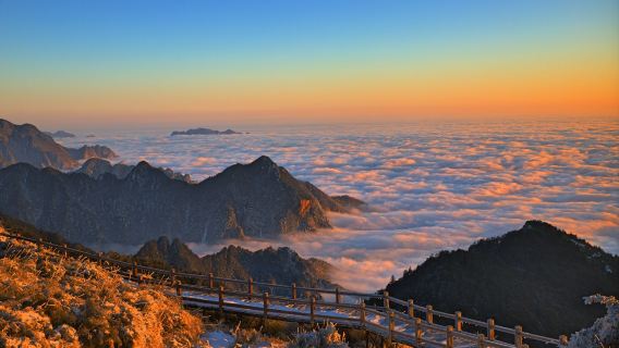 【不到神農頂，沒來神農架-森林氧吧-生態葳蕤】神農頂風景區