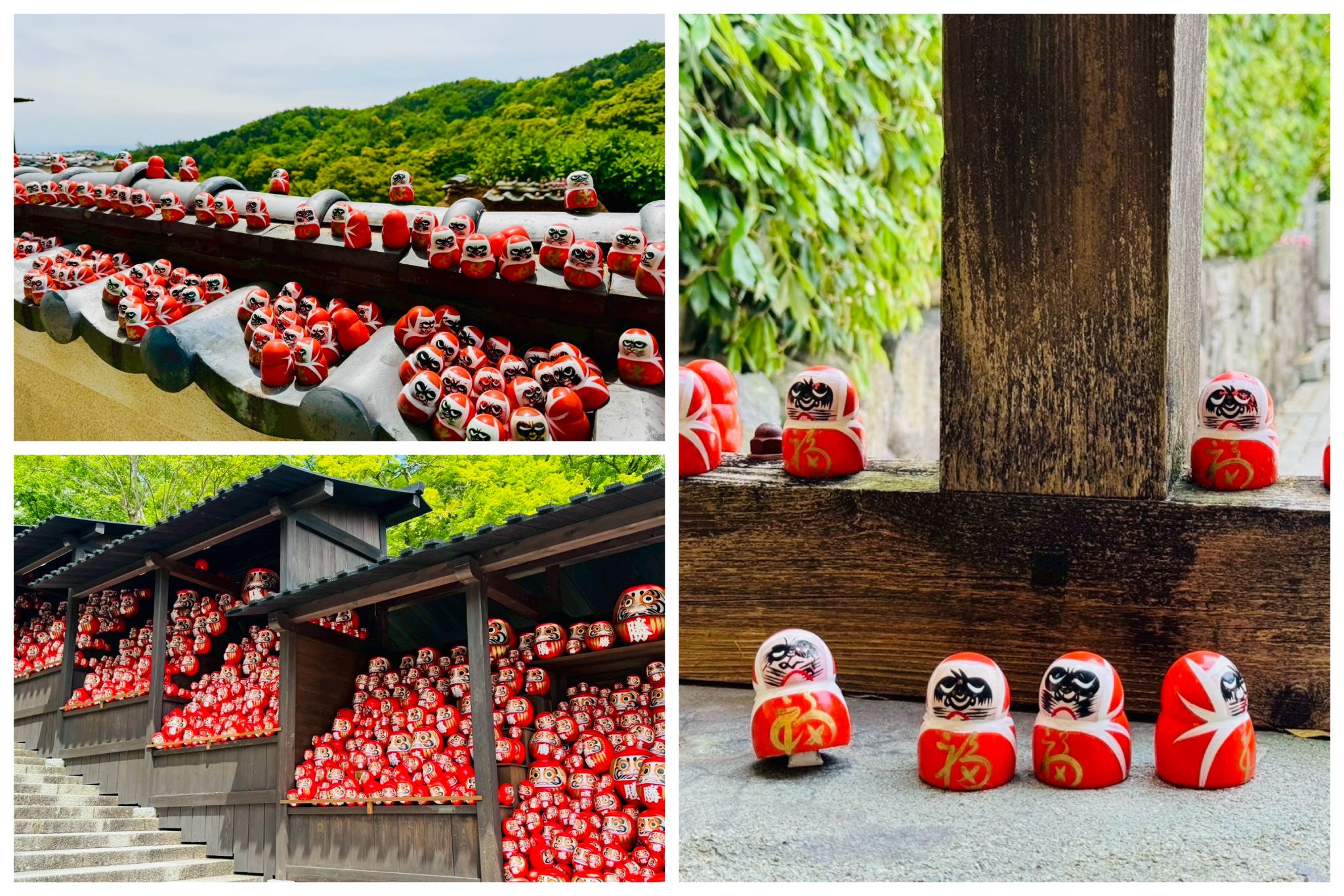 大阪勝利達摩之寺一日遊｜網紅景點勝尾寺・京都嵐山・清水寺