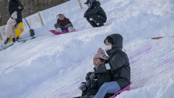 富士山玩雪體驗、箱根海賊船、御殿場奧特萊斯、日式烤肉自助餐