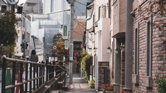 Заказ после консультации / Водный автобус "Будущее" в Токио Диснейленд, парк Синдзюку Гёэн, SKY Сибуя / Аэропорт / Трансфер от точки до точки / Гид-водитель для путешествий / Услуги частного автомобиля