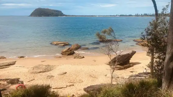 Sydney: Ku-ring-gai National Park Hike with swim and picnic