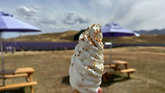 Tur Gunung Cook ke Queenstown (1 arah)