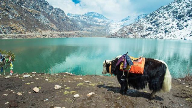 Bagdogra: Himalayas, Sikkim & Kalimpong 10-Day Tour