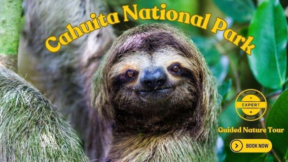 Costa Rica: Guided Nature Hike in Cahuita National Park