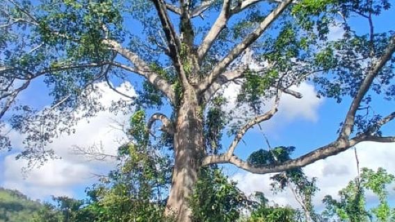Lethe Mountain Valley Hiking