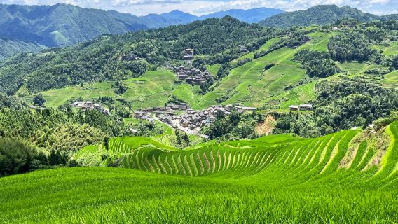 桂林龍脊梯田+金坑梯田一日遊【私家團走高速】【本地知名司導】