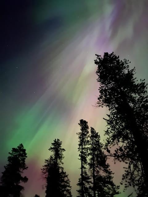 Banff: Guided Sunset and Stargazing Tour