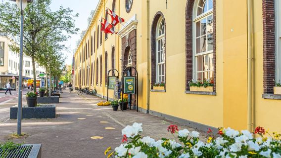 Gouda: biglietto d'ingresso per l'esperienza del formaggio Gouda