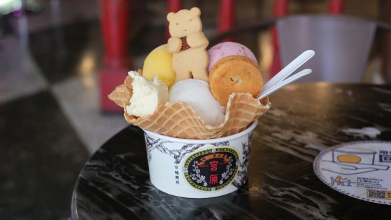 Tour 1 ngày 8 giờ Đài Trung: Khu bảo tồn ngập nước Cao Mỹ, Làng Cầu Vồng - Hành trình tùy chỉnh (Khởi hành từ Đài Trung)