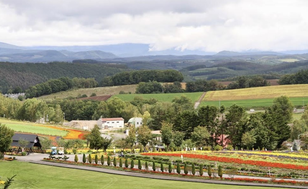 日本札幌-小樽經典一日遊【北海道專車 行程可定制】