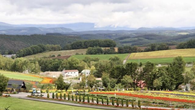 Classic 1-day tour from Sapporo to Otaru [Hokkaido private car, customizable itinerary]