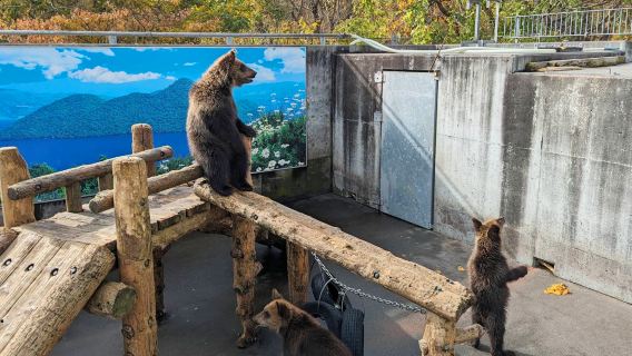 Hokkaido Lake Toya Hot Spring • Showa Shinzan Bear Ranch • Lake Shikotsu Cape Chikyu 1-day tour