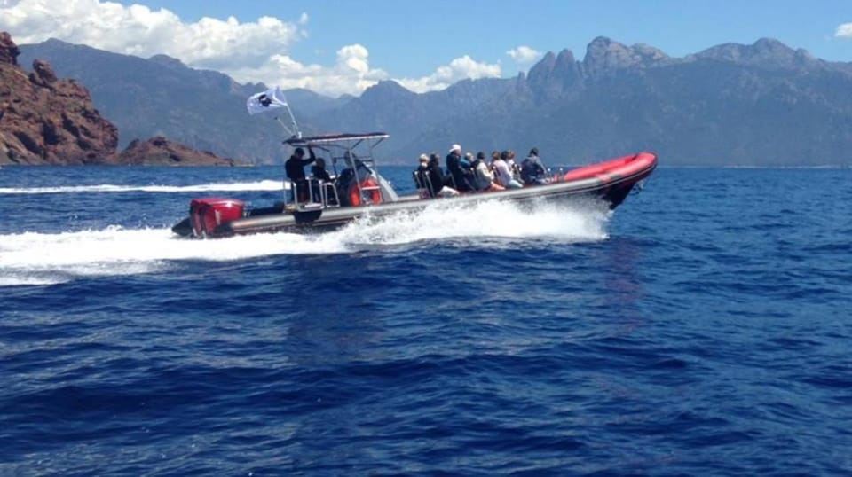 Ajaccio/Porticcio: excursión de un día en barco semirrígido Scandola y Piana