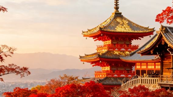 Tour 1 ngày Kyoto + Công viên Nara + Đền Fushimi Inari | Tùy chọn nhóm nhỏ 9 người cao cấp