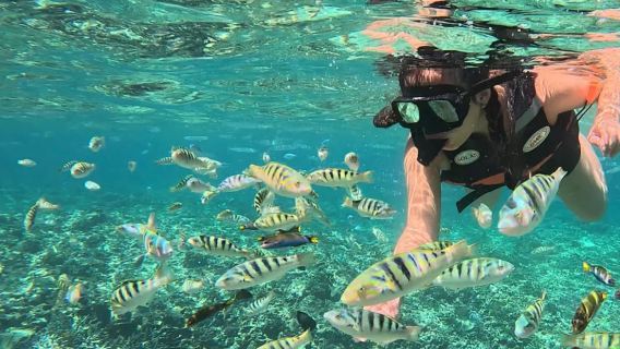 Tour di un giorno alle tre isole di Phu Quoc Island | Crociera in barca grande + 2 sessioni di snorkeling + guida di qualità + Trip Moments in omaggio