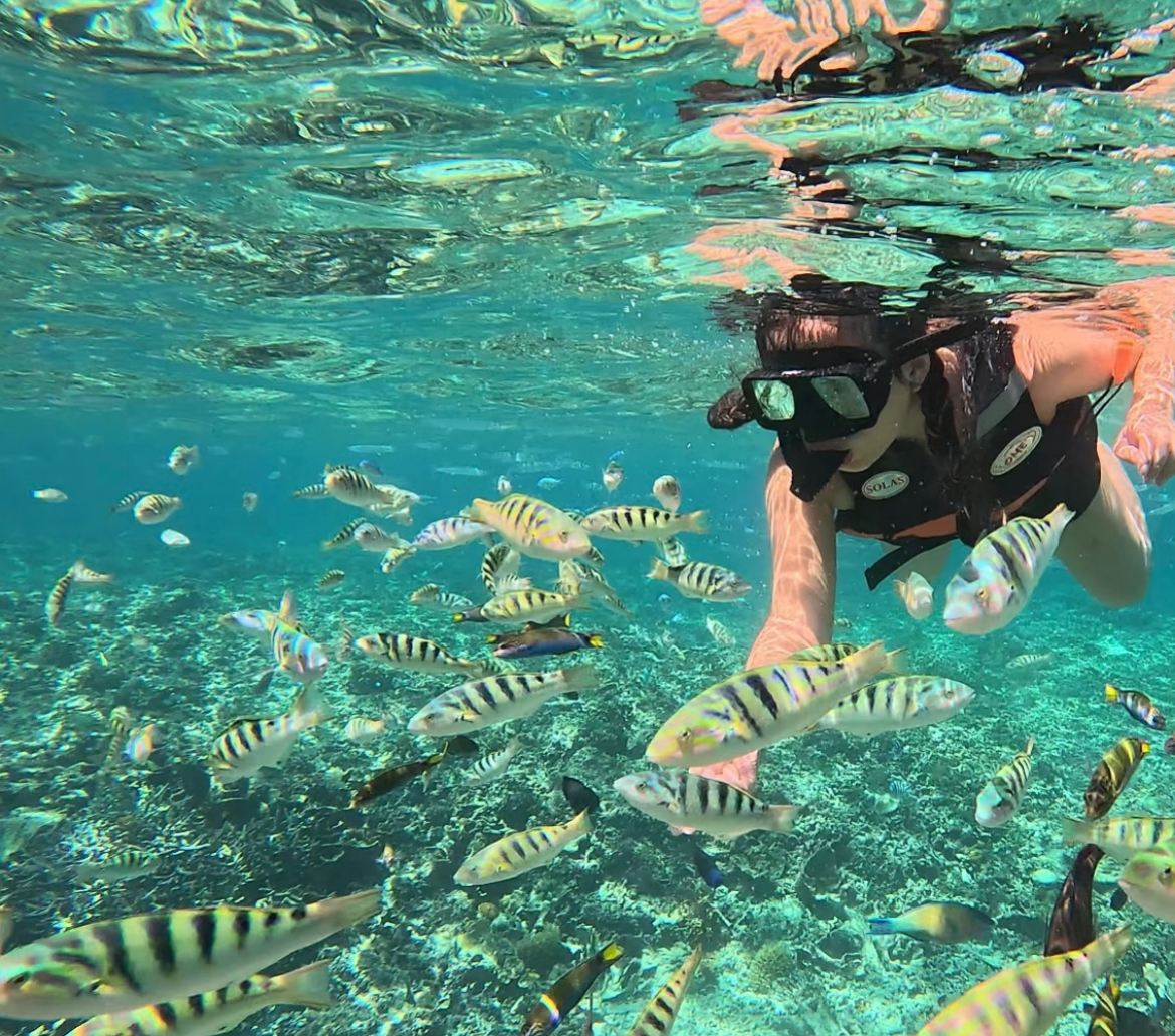 Tour di un giorno alle tre isole di Phu Quoc Island | Crociera in barca grande + 2 sessioni di snorkeling + guida di qualità + Trip Moments in omaggio