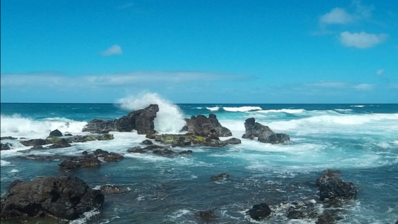 Maui 1-day tour