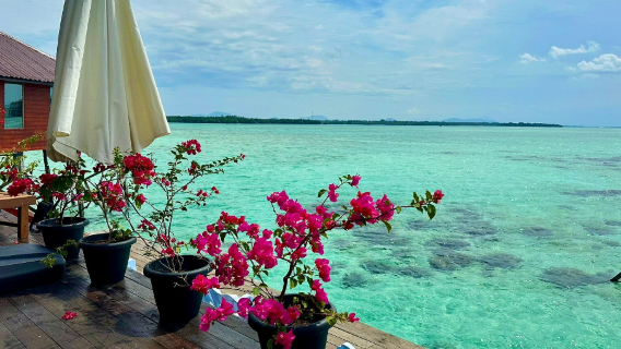 Dayang resort (Resort nhà nổi Sun) (Chưa bao gồm phụ phí)|Cảnh biển độc đáo, cảnh biển tuyệt đẹp, bộ sưu tập đáng sở hữu, sinh vật biển bí ẩn