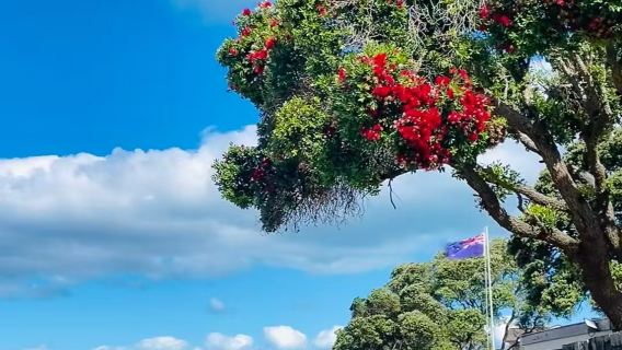 New Zealand Auckland / Mount Eden + Takarunga / Mount Victoria + Takapuna Beach private charter 1-day tour