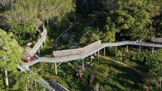 Santuari Gajah Phuket: Lawatan Laluan Kanopi Berpandu + Makanan Ringan Tanpa Had