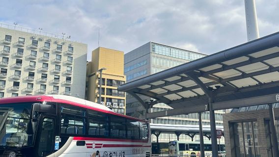 Kyoto: Tour Guidato in Autobus dei Templi in Giapponese