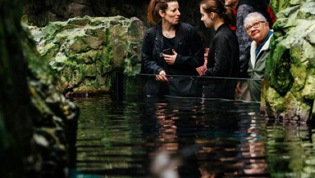 Oceanário de Lisboa: Guided Tour