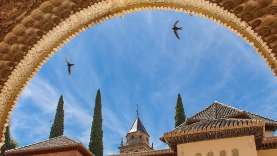 Granada, Spain|Alhambra Guided Tour (Including Nasrid Palaces Admission Ticket)