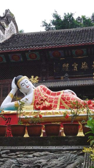 四川自貢仙市古鎮+鹽業歷史博物館+燊海井包車一日遊中英文服務