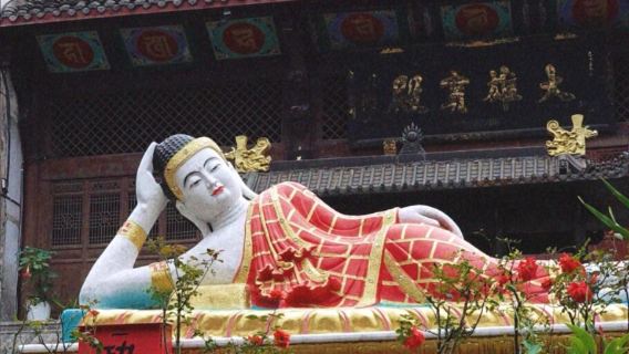 Tour di un giorno a Zigong con visita all'Antica Città di Xianshi, al Museo Storico del Sale e al Pozzo Shenhai con noleggio con conducente esclusivo e servizio in inglese disponibile.