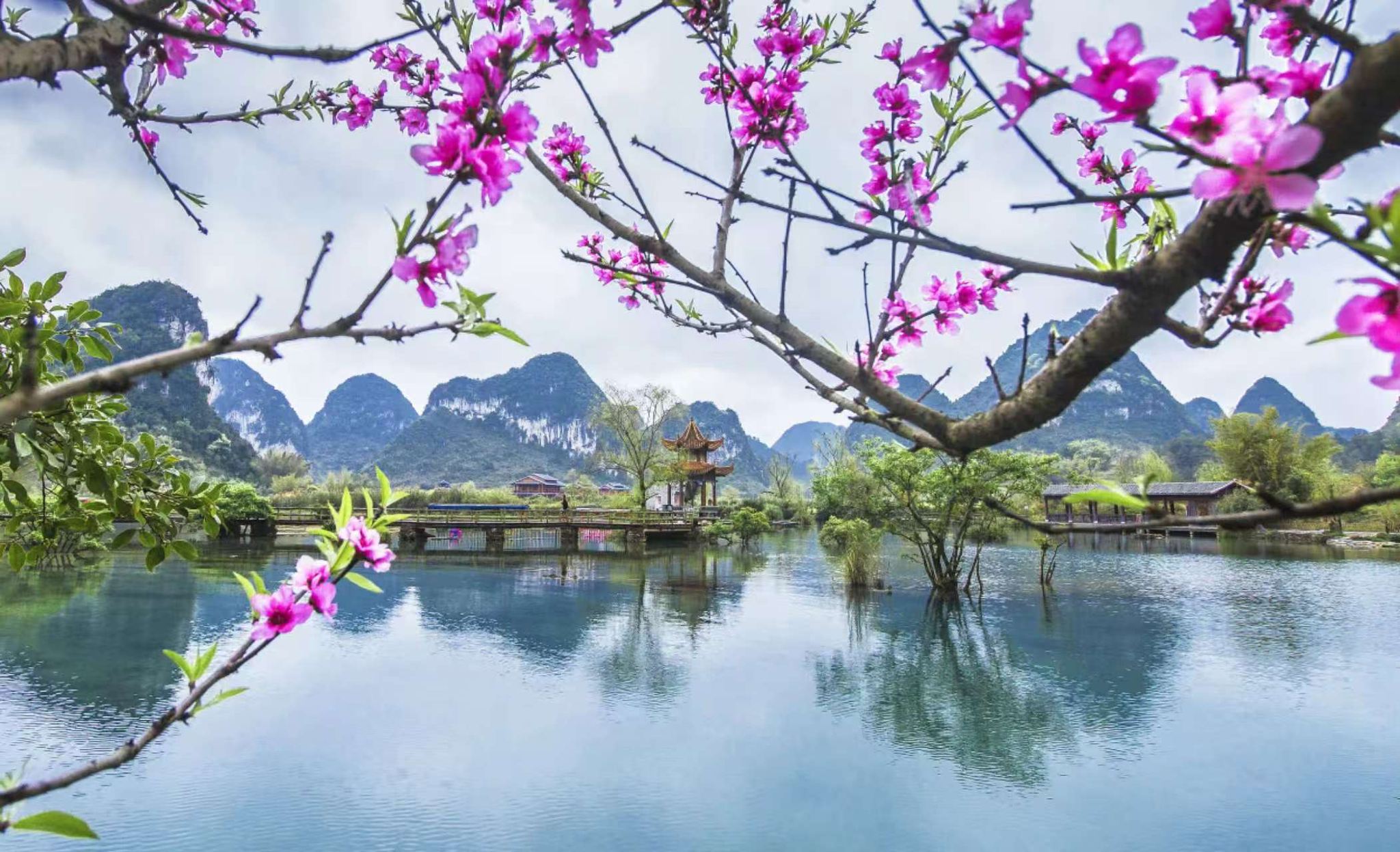 거위의 샘+통링대협곡 당일 치기 여행|소규모 그룹 순수 여행|즉석에서 멈추고 떠나기|