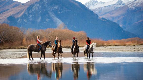 Glenorchy Reitausflugserlebnis [Wahlweise Herr der Ringe/Rees River Route|Grundkenntnisse in Englisch erforderlich]
