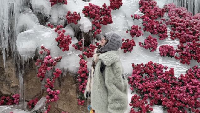 洛陽白雲山一日遊【2.14號之前學生證免門票/純玩自由行】
