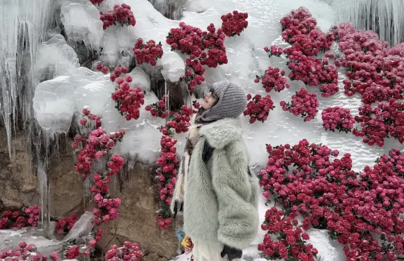 洛陽白雲山一日遊【景區接駁巴士/純玩自由行】