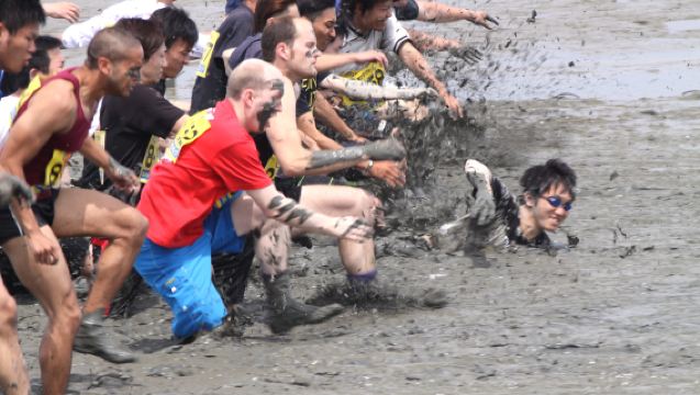 Saga: 2026 Kashima Gatalympic Participatory Bus Tour from Hakata