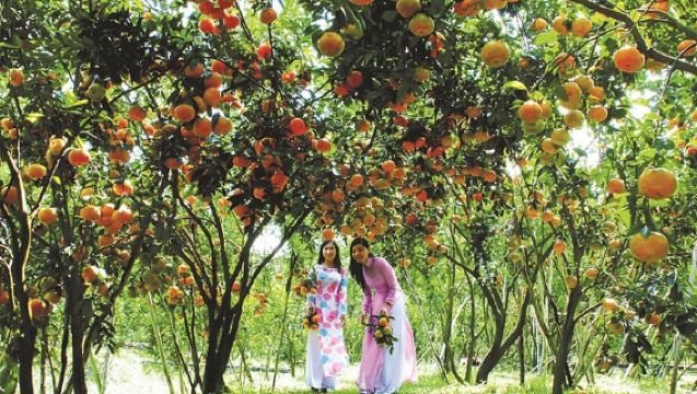 Mekong Delta Experience: My Tho Day Trip With Sampan Ride & Local Culture